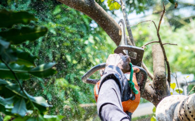 Branch Chipping
