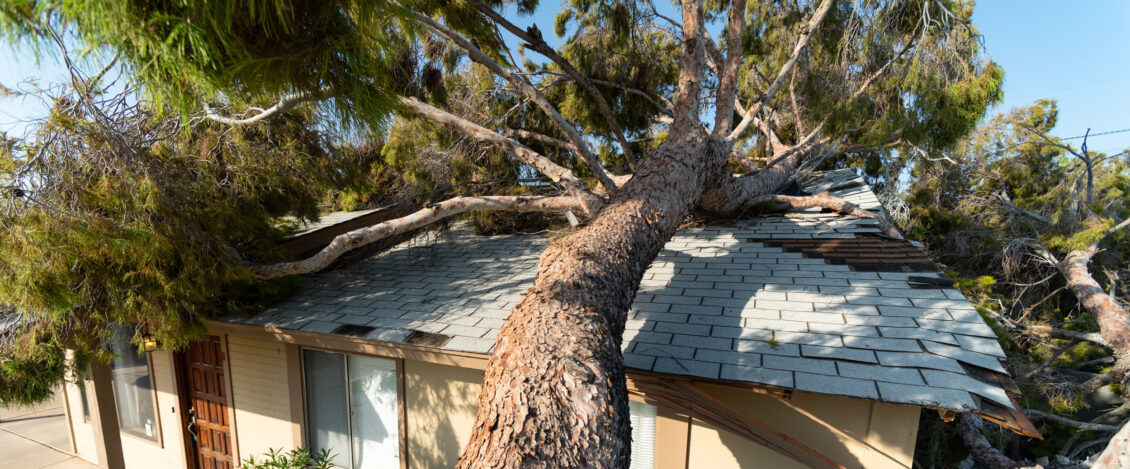 Emergency Storm Damage Removal